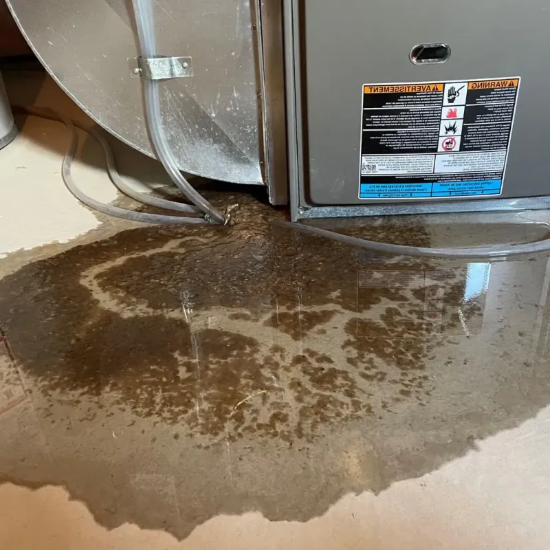 Pipe Burst and Leak Restoration in Antwerp, OH