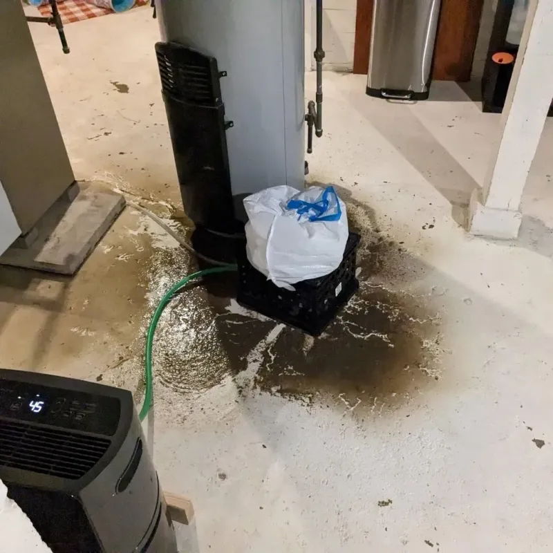 Sewage Backup Cleanup Service in Antwerp, OH